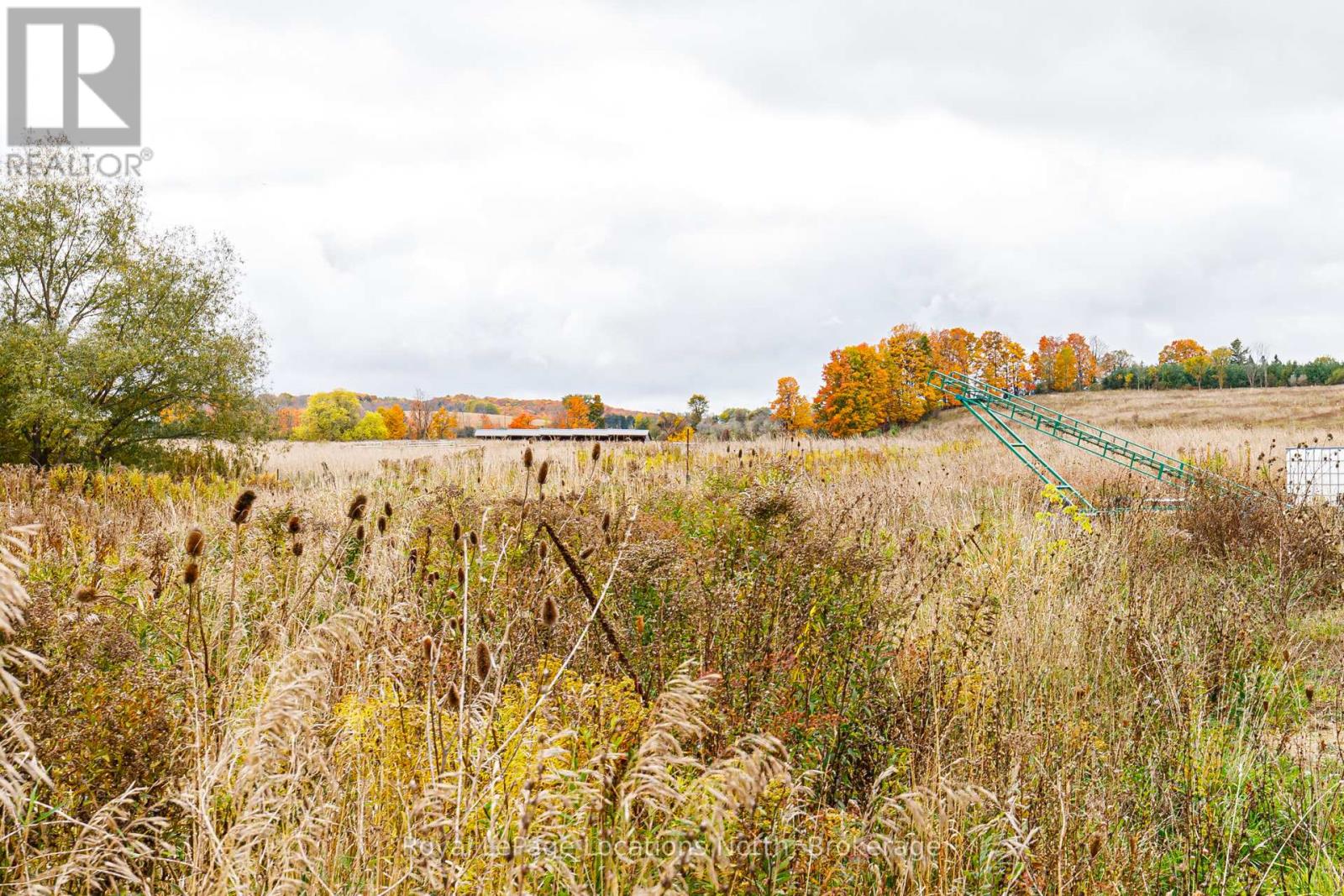 137662 Grey Road 12, Meaford, Ontario  N4L 1W6 - Photo 42 - X12372068