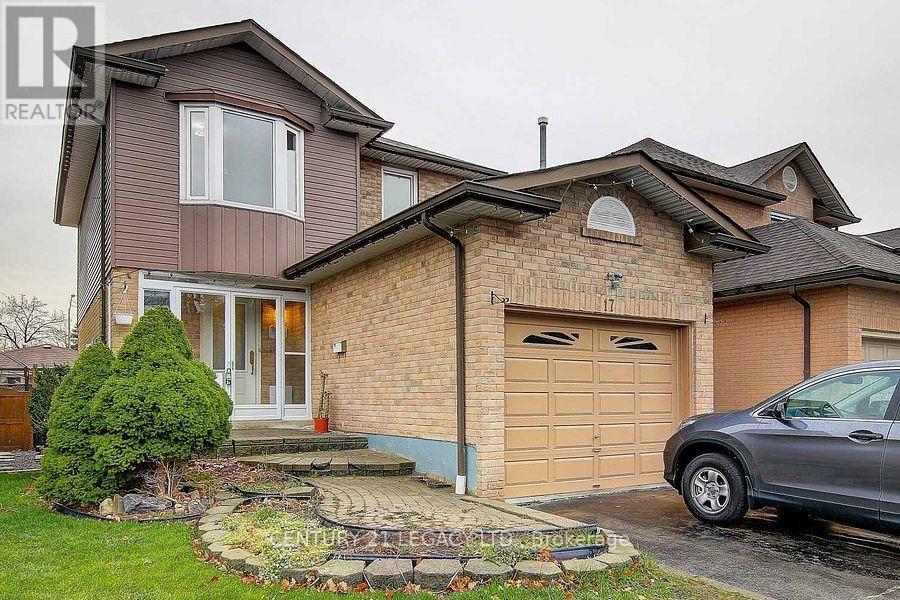 BSMNT - 17 ROSEBUD AVENUE, Brampton, Ontario