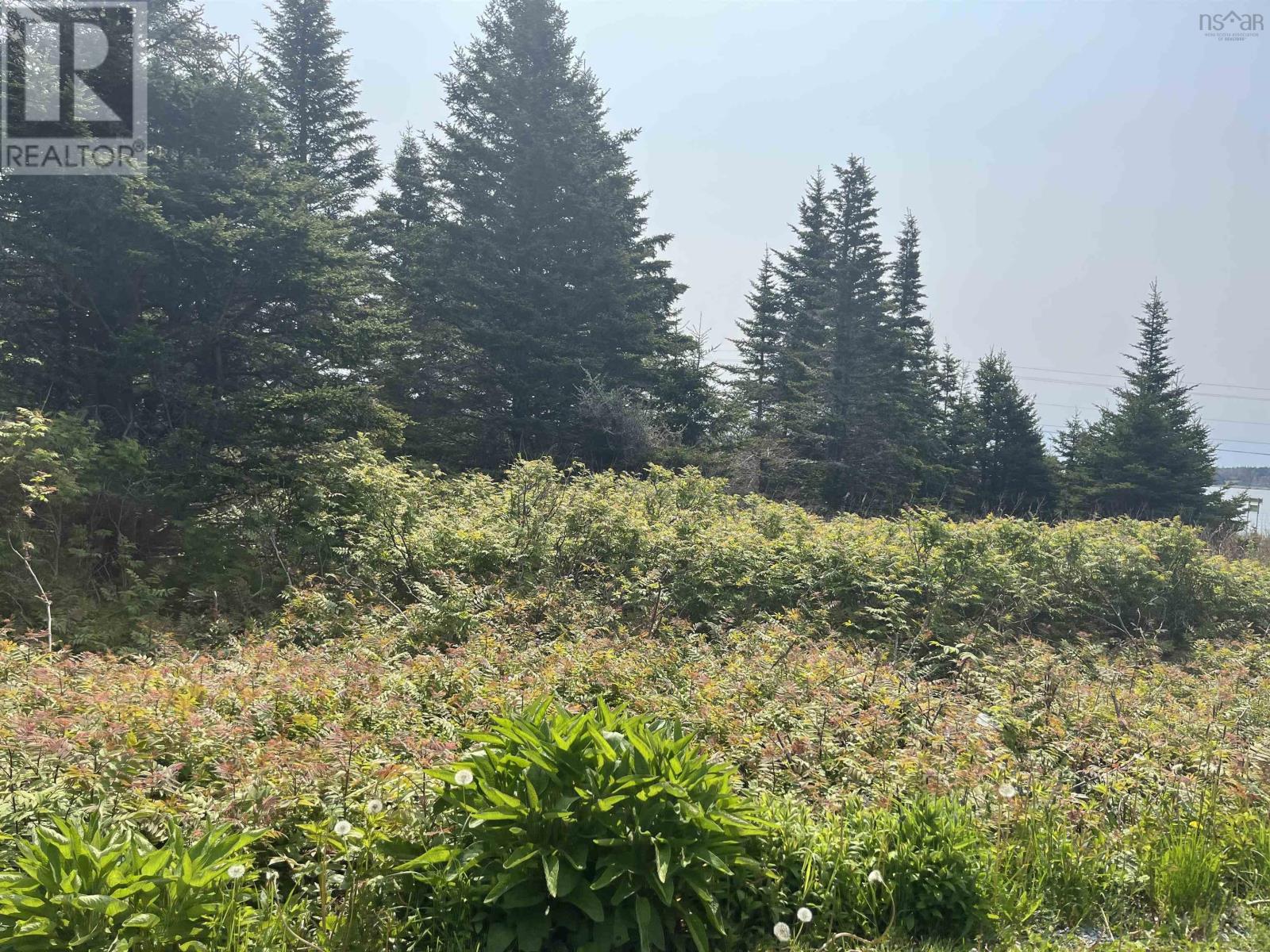 Lot 94 Shiers Road, Harrigan Cove, Nova Scotia  B0J 2K0 - Photo 15 - 202522013