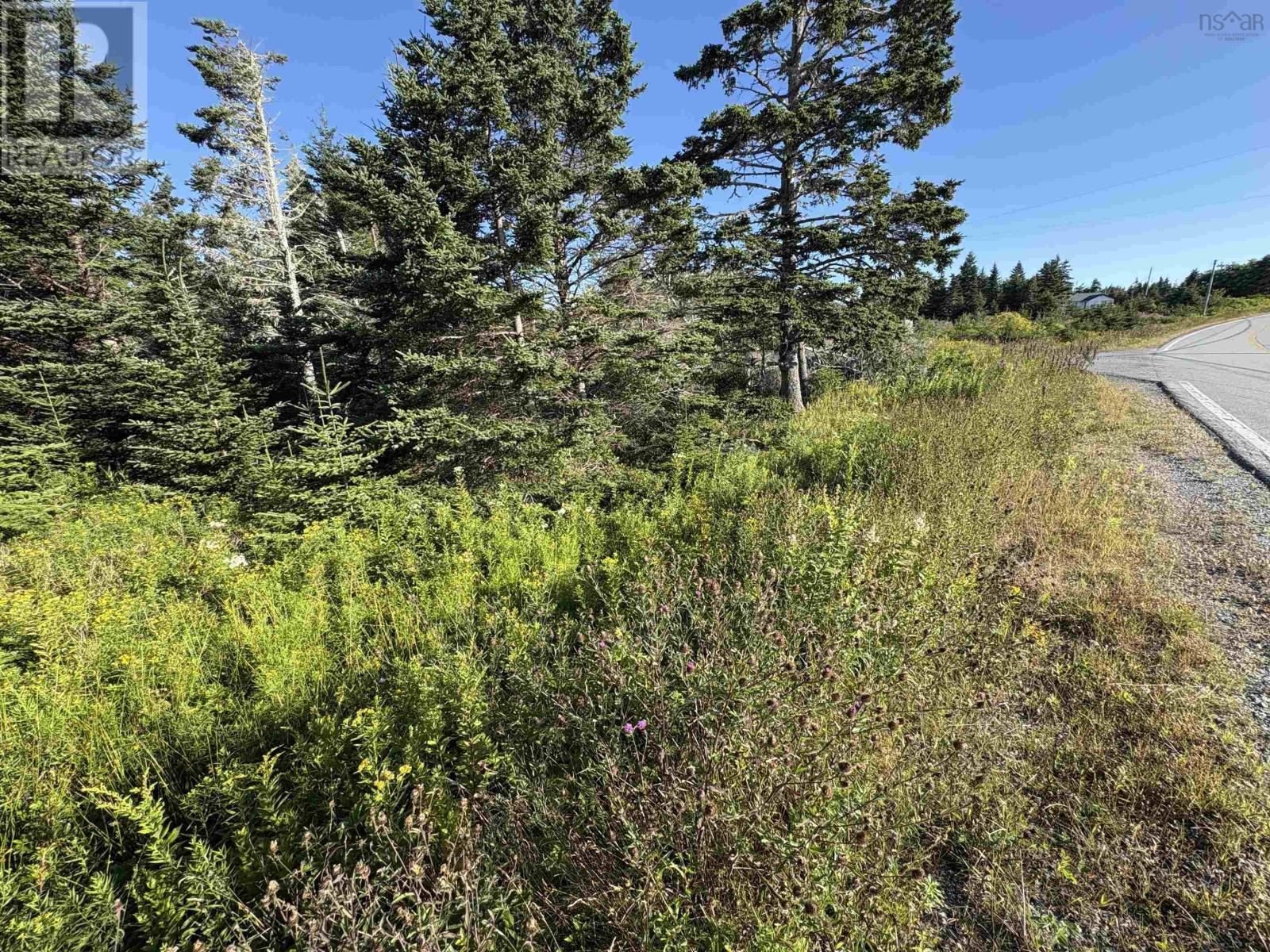 Lot 94 Shiers Road, Harrigan Cove, Nova Scotia  B0J 2K0 - Photo 14 - 202522013