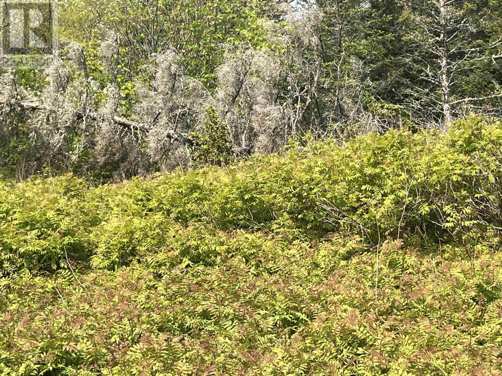 Lot 15 Shiers Road, Harrigan Cove, Nova Scotia  B0J 2K0 - Photo 8 - 202522014