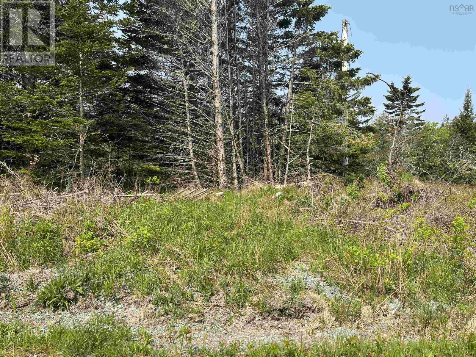 Lot 15 Shiers Road, Harrigan Cove, Nova Scotia  B0J 2K0 - Photo 7 - 202522014