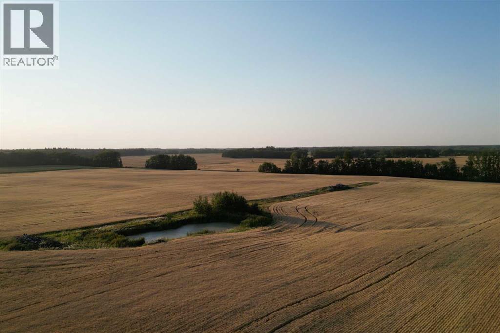 Rr224 Twp 604, Rural Thorhild County, Alberta  T0A 3J0 - Photo 10 - A2252824
