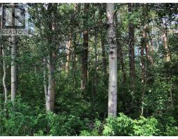 Lot 15 Campsite Road