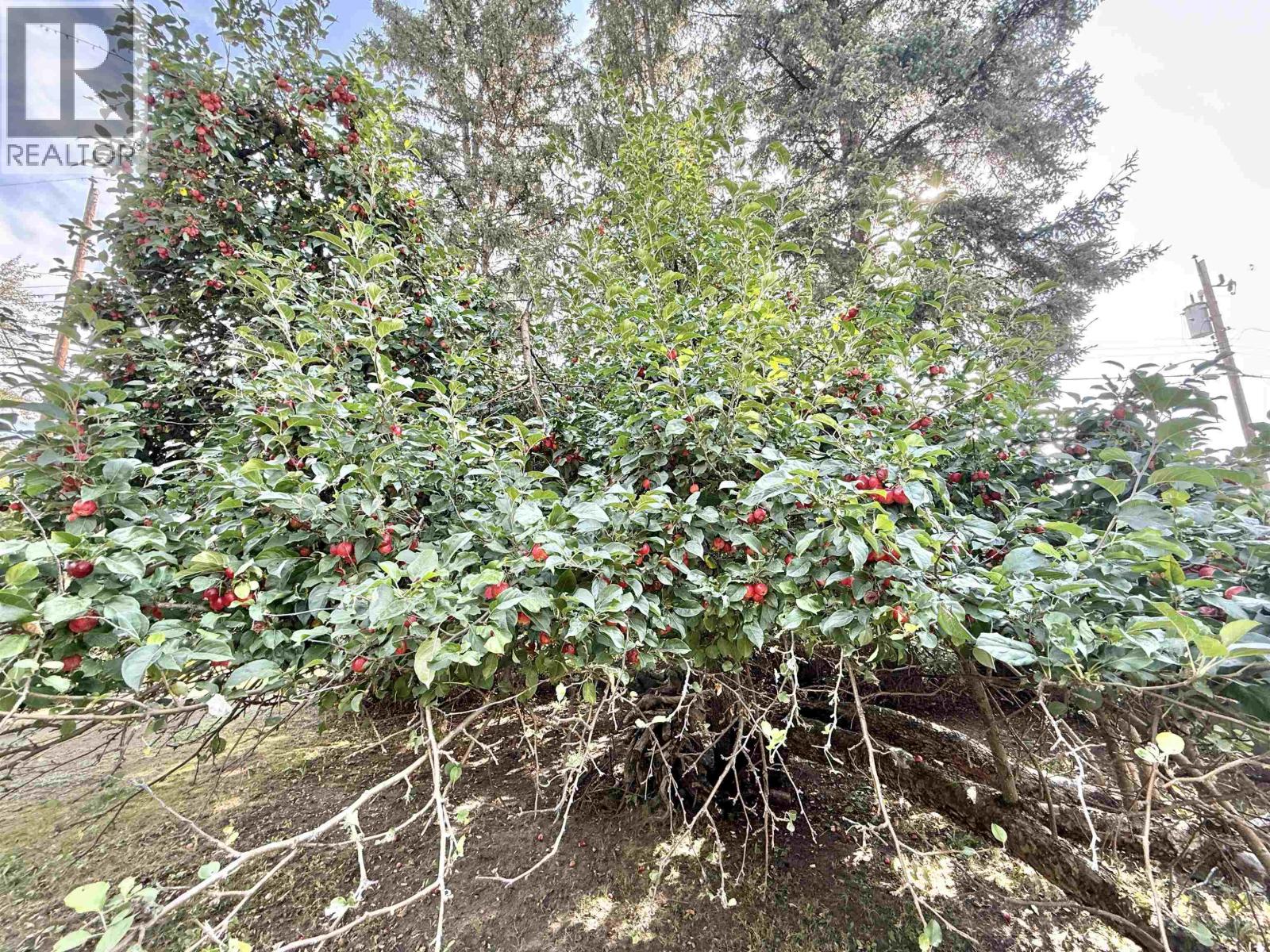 551 Edkins Street, Quesnel, British Columbia  V2J 1X7 - Photo 32 - R3039751