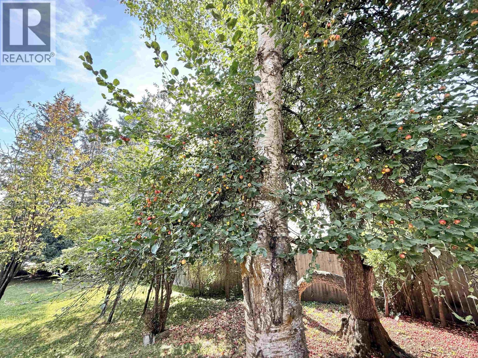 551 Edkins Street, Quesnel, British Columbia  V2J 1X7 - Photo 31 - R3039751