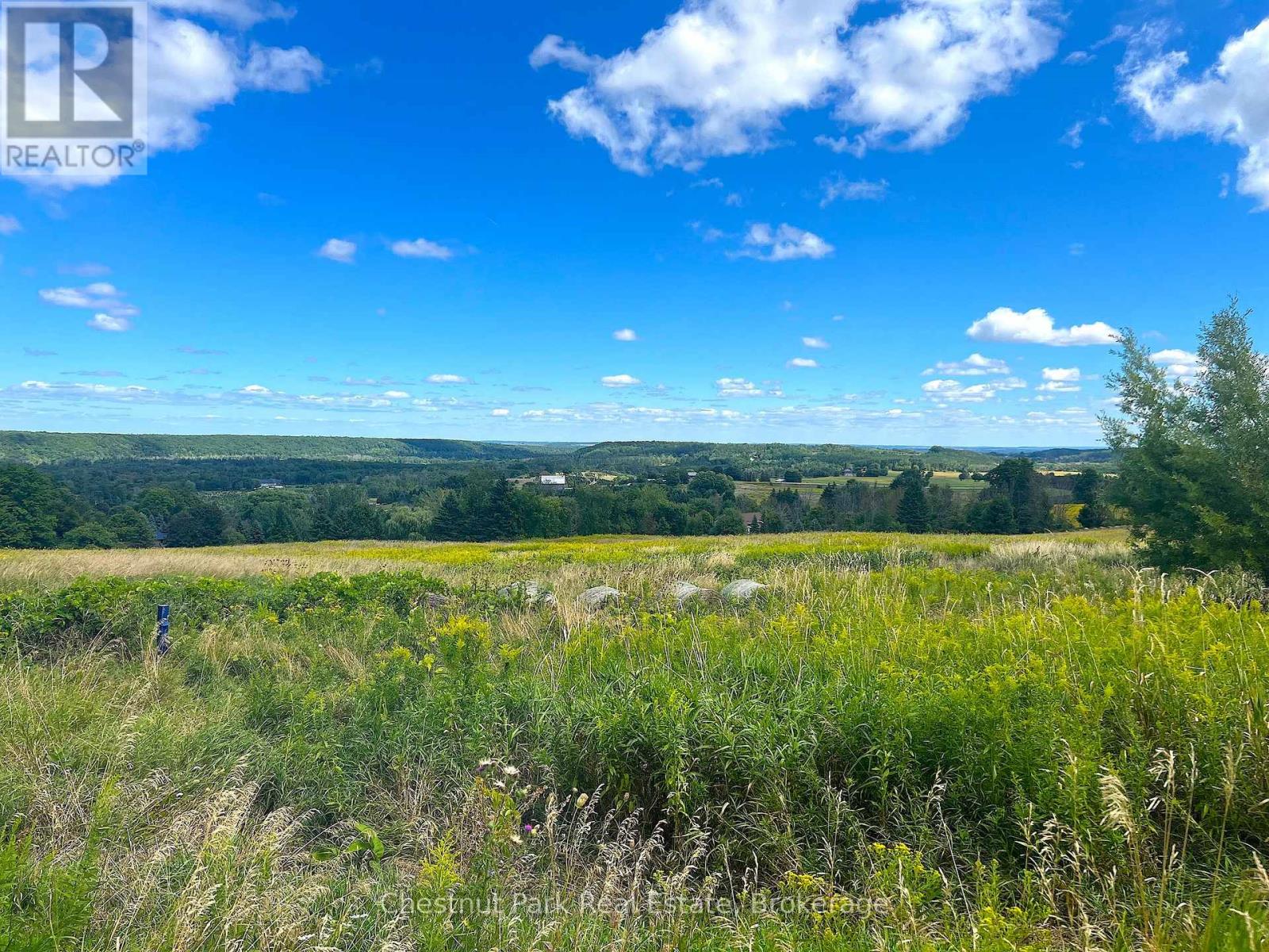 628190 15th Side Road, Mulmur, Ontario  L9V 0T9 - Photo 13 - X12370979