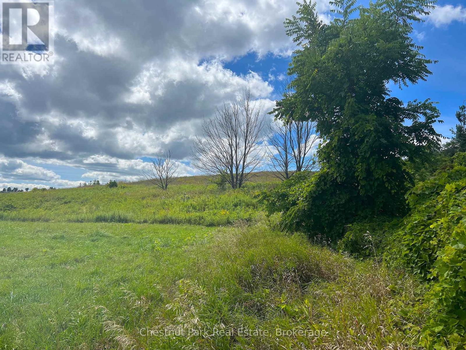 628190 15th Side Road, Mulmur, Ontario  L9V 0T9 - Photo 15 - X12370979