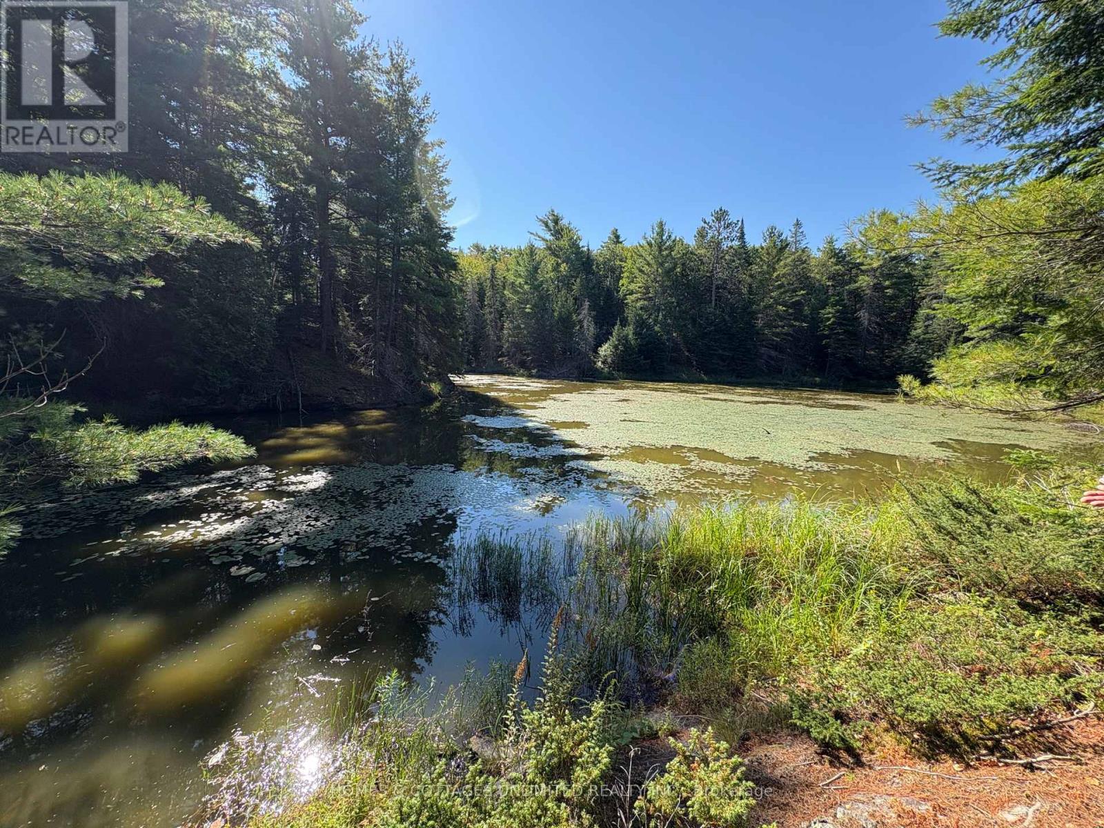 0 Reids Road, Lanark Highlands, Ontario  K0G 1K0 - Photo 19 - X12372396