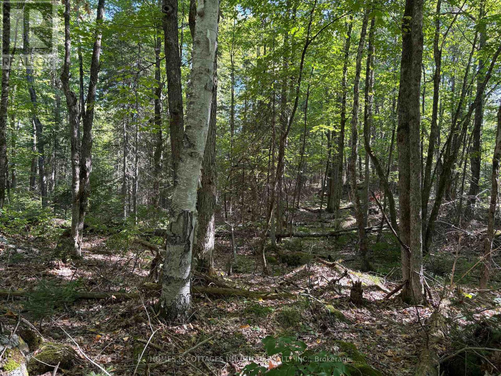 0 Reids Road, Lanark Highlands, Ontario  K0G 1K0 - Photo 2 - X12372396