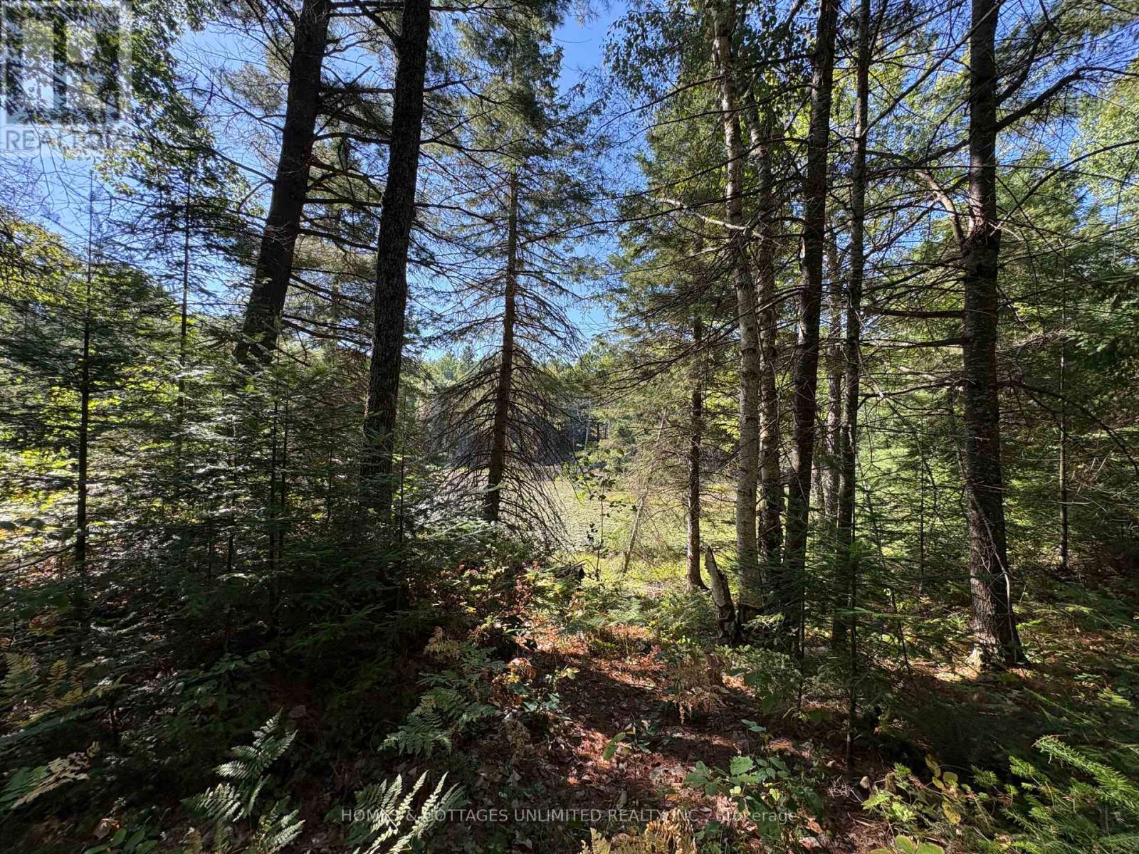 0 Reids Road, Lanark Highlands, Ontario  K0G 1K0 - Photo 3 - X12372396