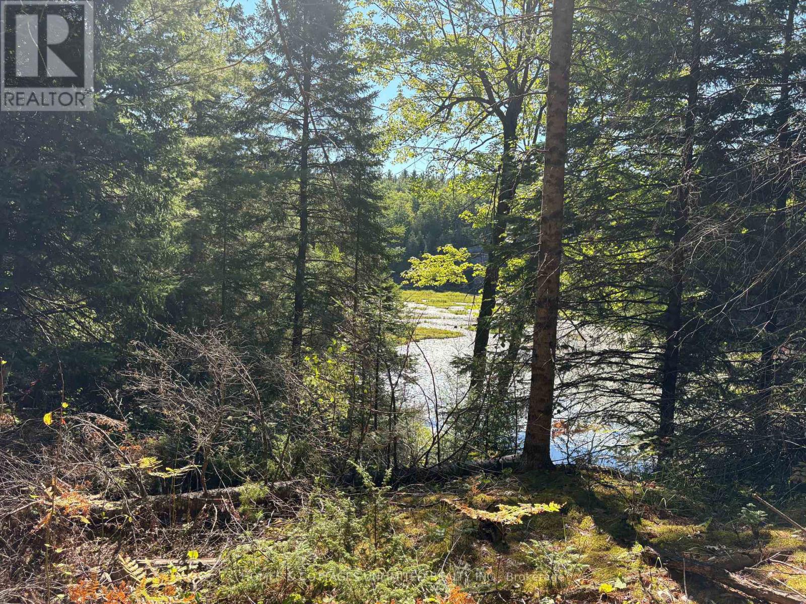 0 Reids Road, Lanark Highlands, Ontario  K0G 1K0 - Photo 5 - X12372396