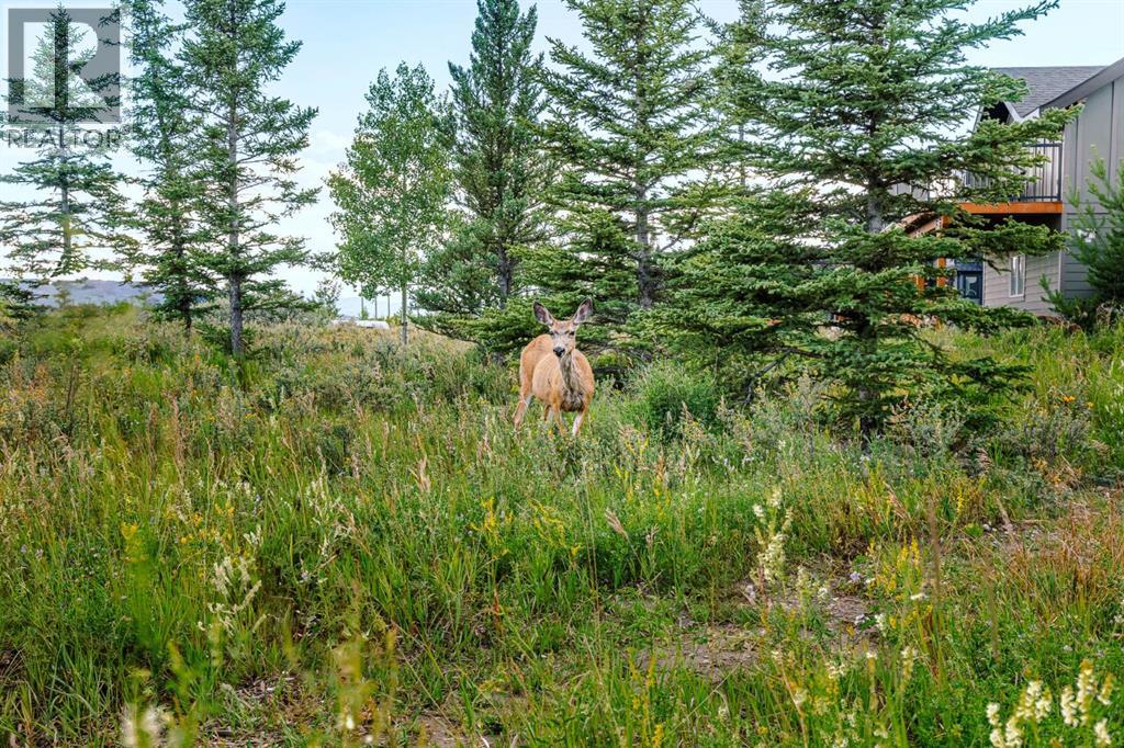 407 Cottage Club Grove, Rural Rocky View County, Alberta  T4C 1B1 - Photo 44 - A2245242