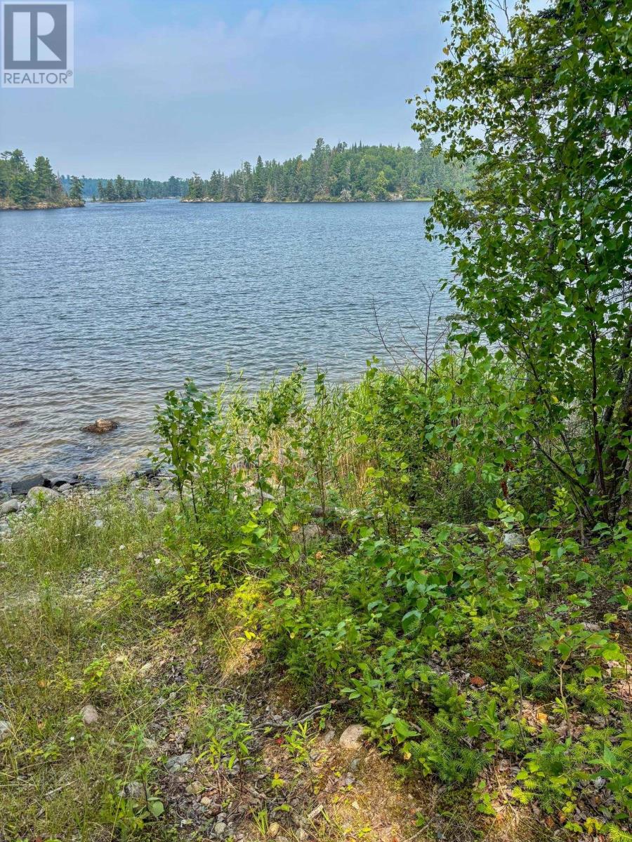 1 1 Thompson Is, Lake Of The Woods, S Of Kenora, Ontario  P0X 1C0 - Photo 24 - TB252539