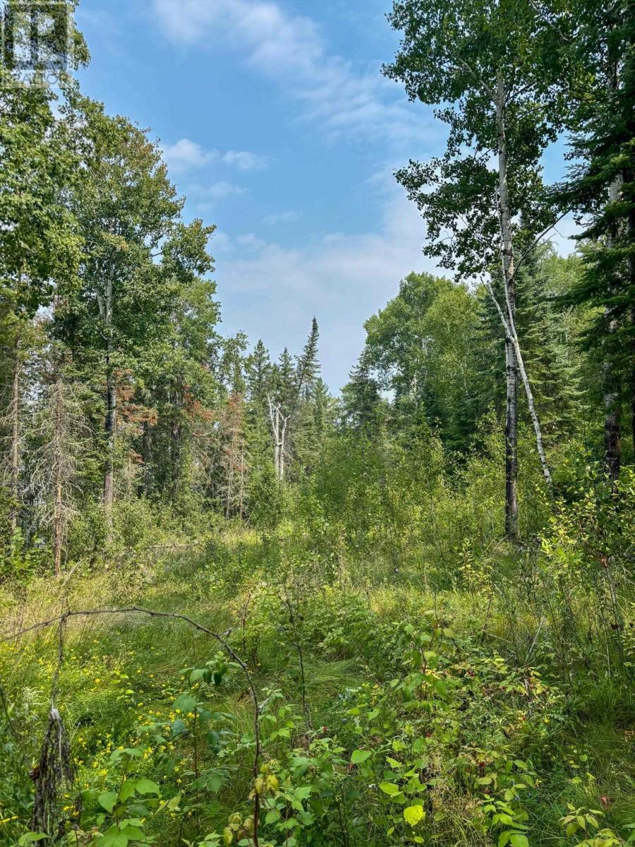 1 1 Thompson Is, Lake Of The Woods, S Of Kenora, Ontario  P0X 1C0 - Photo 28 - TB252539
