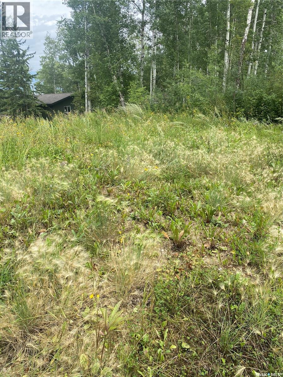 2080 Mccrea Road, Greenwater Provincial Park, Saskatchewan  S0E 0E0 - Photo 14 - SK016510