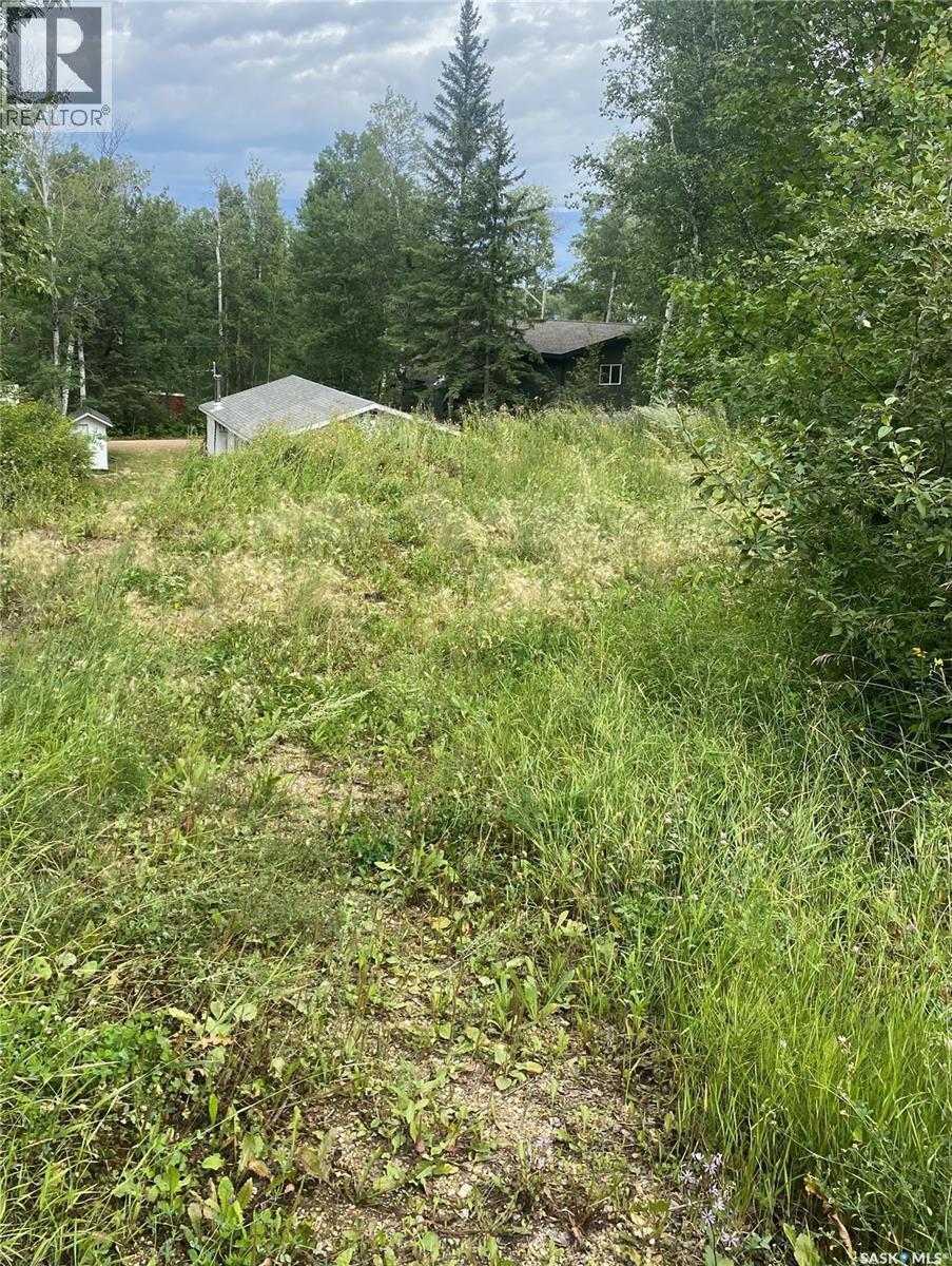 2080 Mccrea Road, Greenwater Provincial Park, Saskatchewan  S0E 0E0 - Photo 13 - SK016510