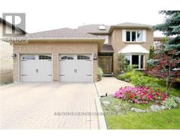 BSMT ROOM - 347 FERN AVENUE, Richmond Hill, Ontario