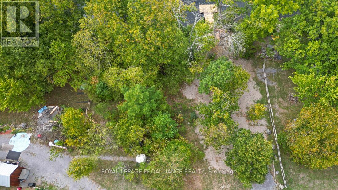 60 Birch Lane, Tweed (Hungerford (Twp)), Ontario  K0K 3J0 - Photo 3 - X12372724