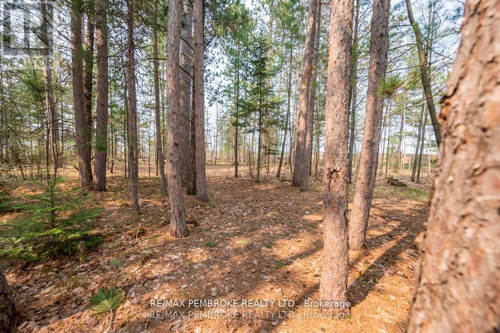36 Labine Crescent, Petawawa, Ontario  K8H 2J2 - Photo 40 - X12372729