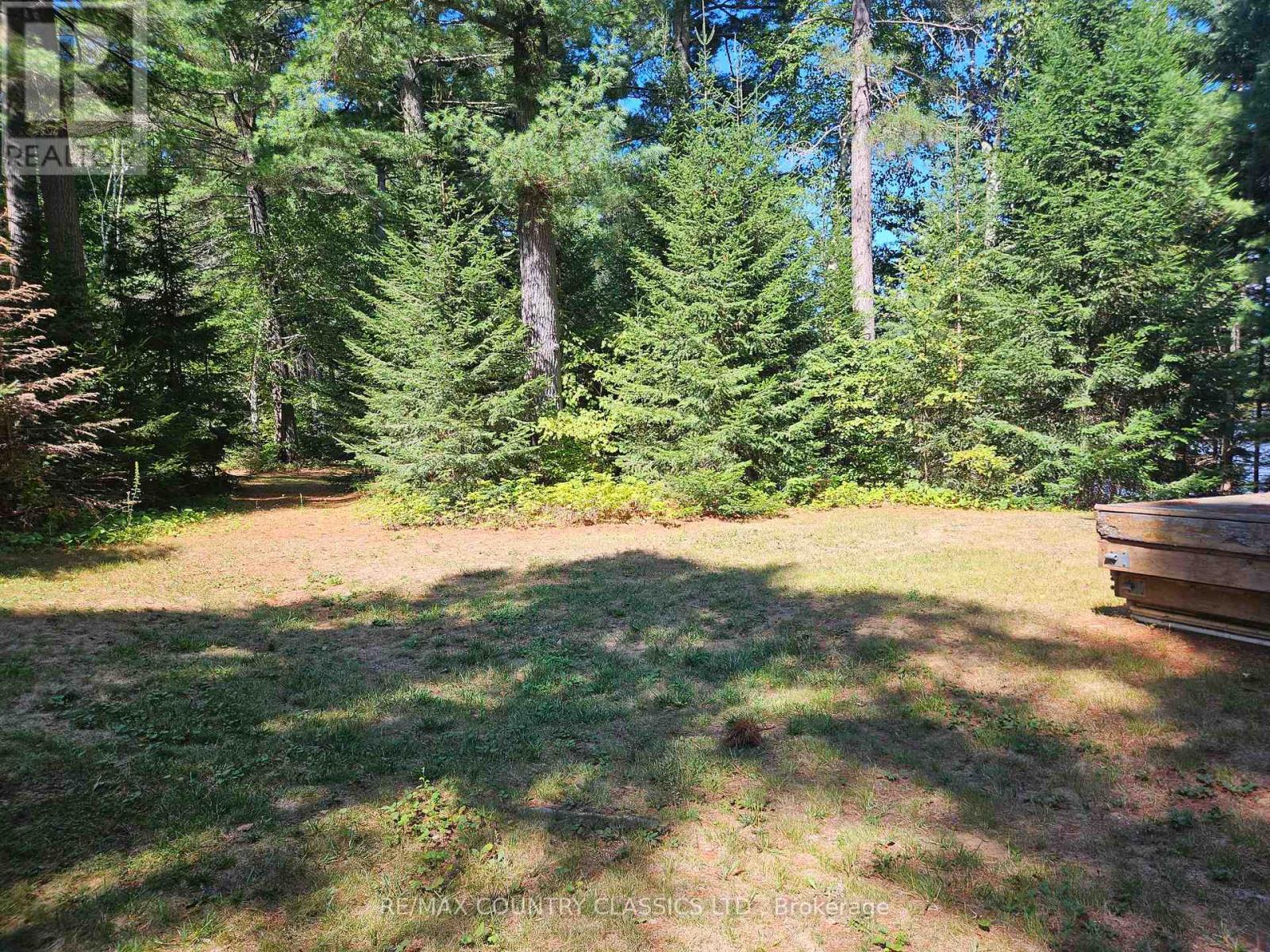 13 Lorbetski Road, Madawaska Valley, Ontario  K0J 1B0 - Photo 34 - X12055482