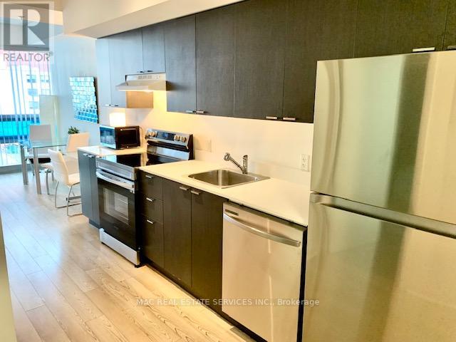 411 - 375 King Street W, Toronto, Ontario  M5V 1K5 - Photo 4 - C12372807