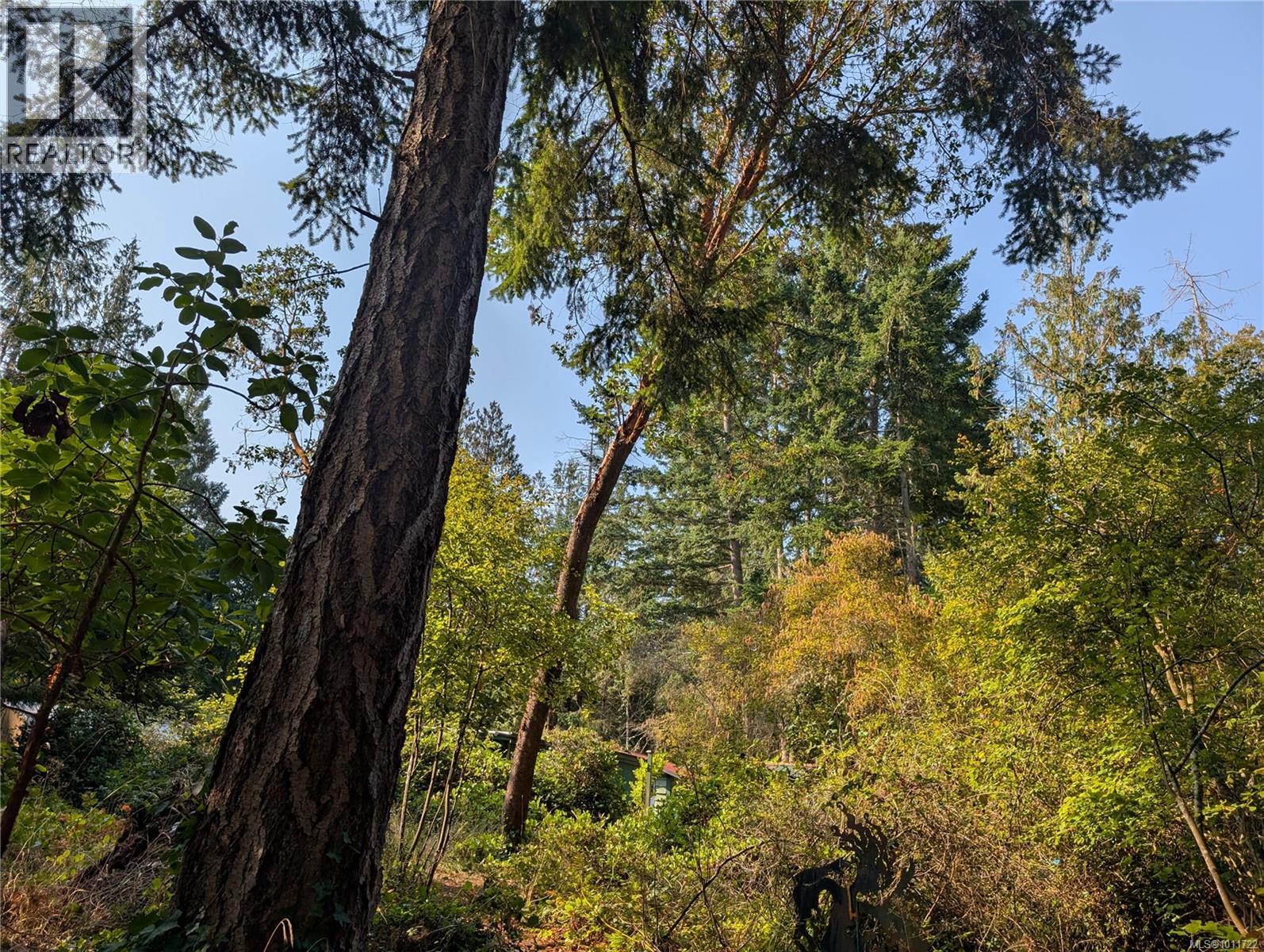 Lt 16 Berry Point Rd, Gabriola Island, British Columbia  V0R 1X1 - Photo 10 - 1011722