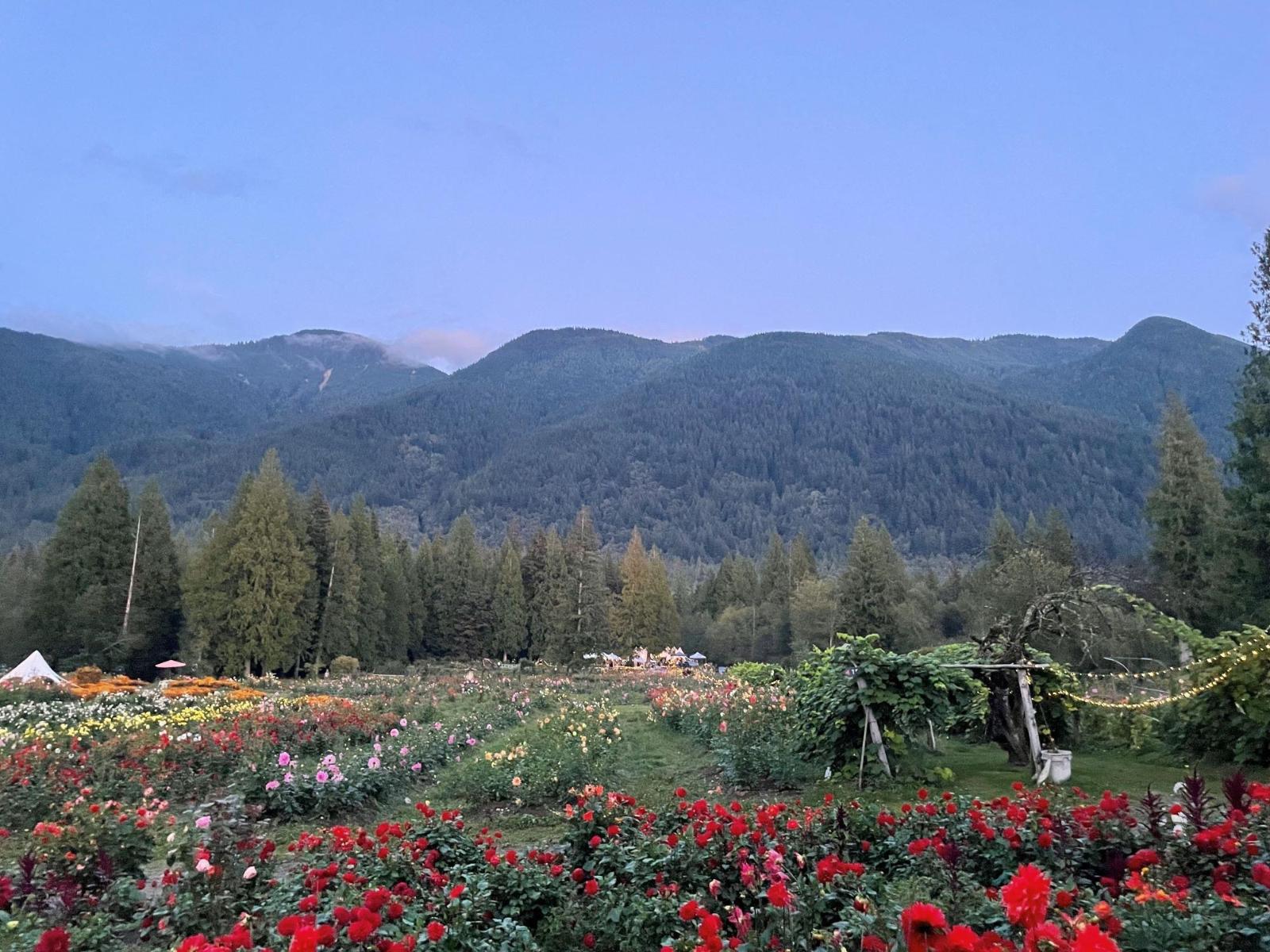 13842 SPRATT ROAD, Mission, British Columbia