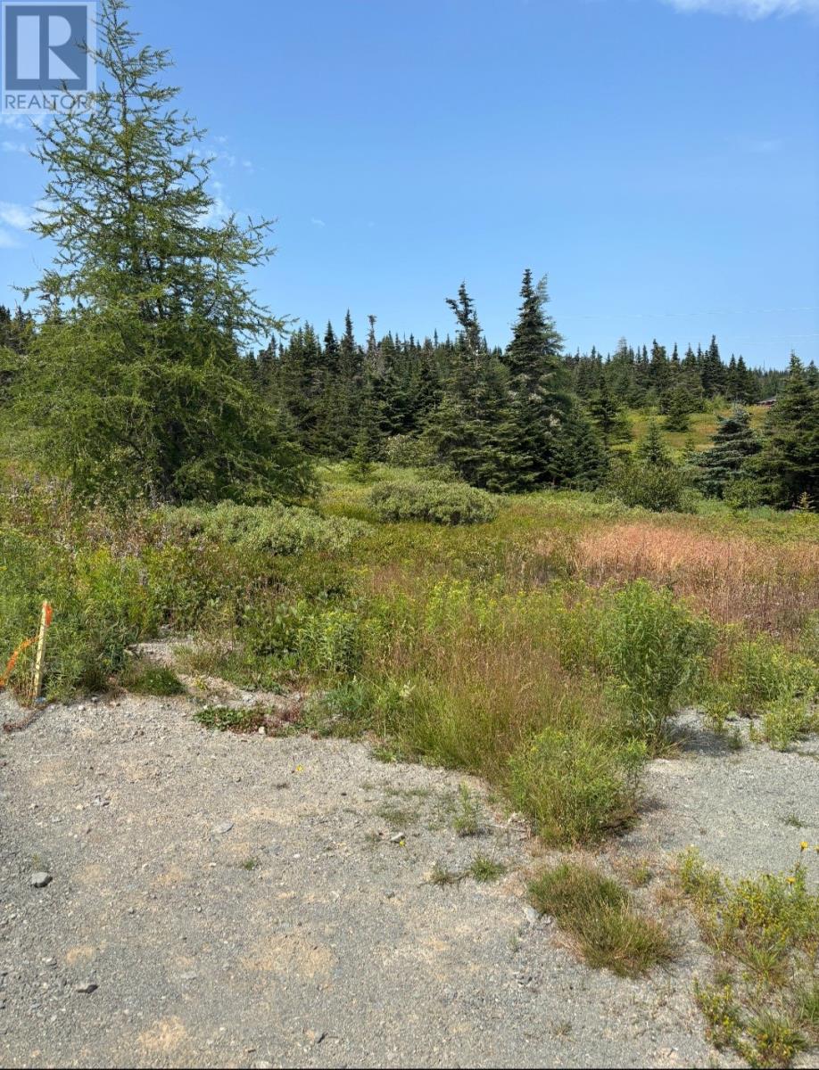 17 Batson's Road, Port Rexton, Newfoundland & Labrador  A0C 2H0 - Photo 1 - 1289283