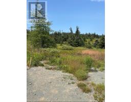 17 Batson's Road, Port Rexton, Newfoundland & Labrador