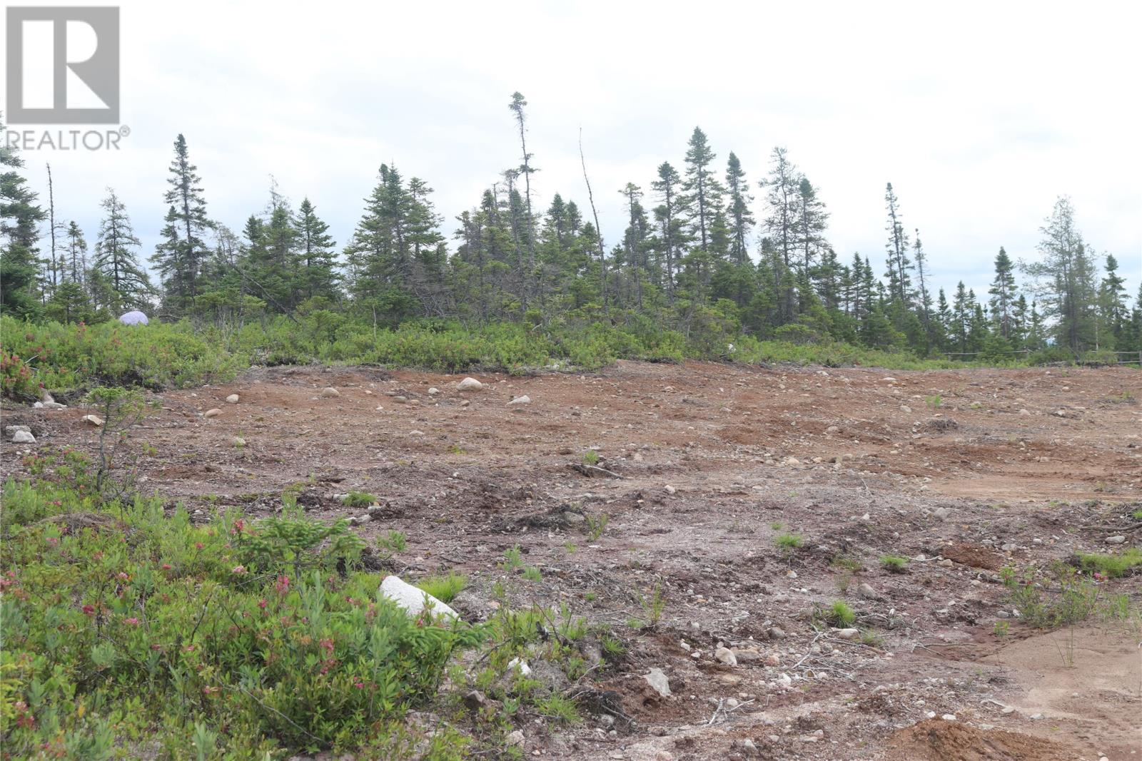 Lot 25-26 Sandy Stream Road, Howley, Newfoundland & Labrador  A0K 3E0 - Photo 12 - 1274894