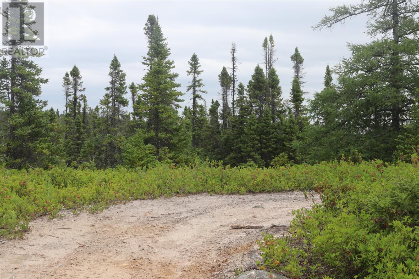 Lot 25-26 Sandy Stream Road, Howley, Newfoundland & Labrador  A0K 3E0 - Photo 15 - 1274894