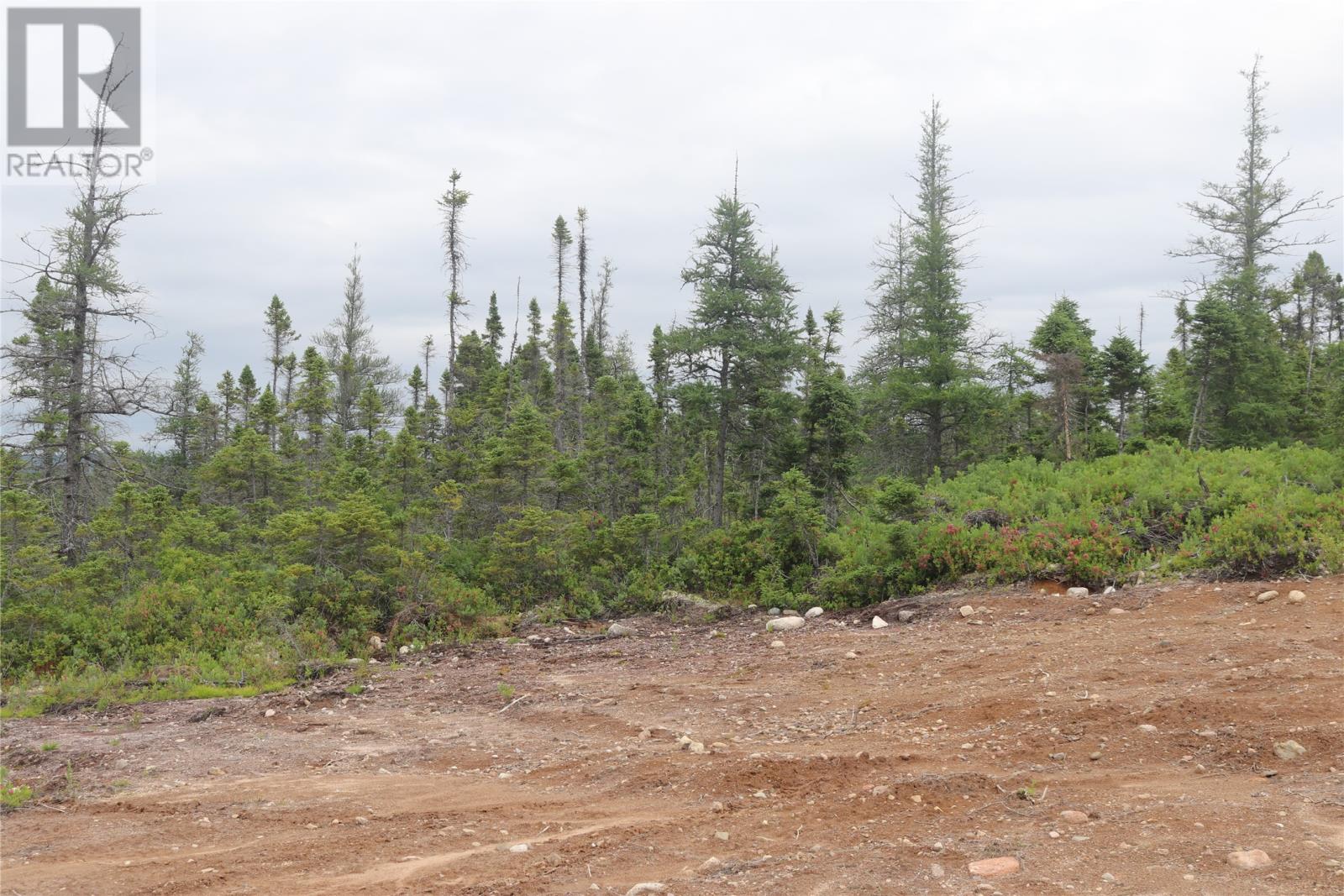 Lot 25-26 Sandy Stream Road, Howley, Newfoundland & Labrador  A0K 3E0 - Photo 17 - 1274894