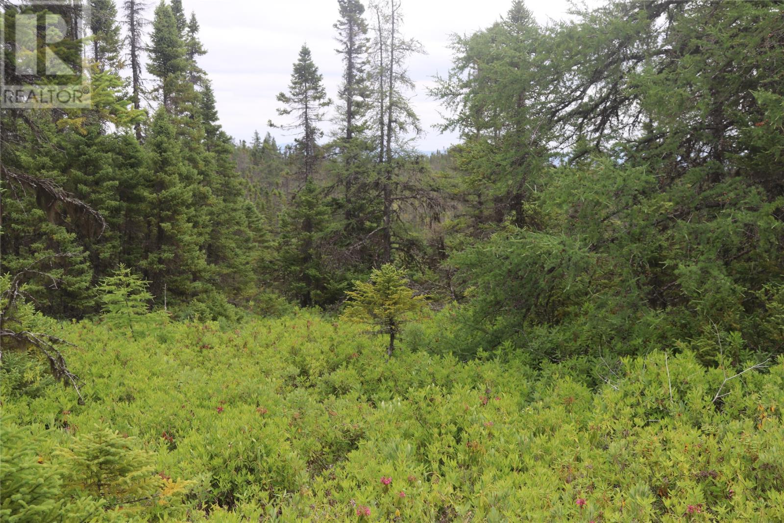 Lot 25-26 Sandy Stream Road, Howley, Newfoundland & Labrador  A0K 3E0 - Photo 18 - 1274894