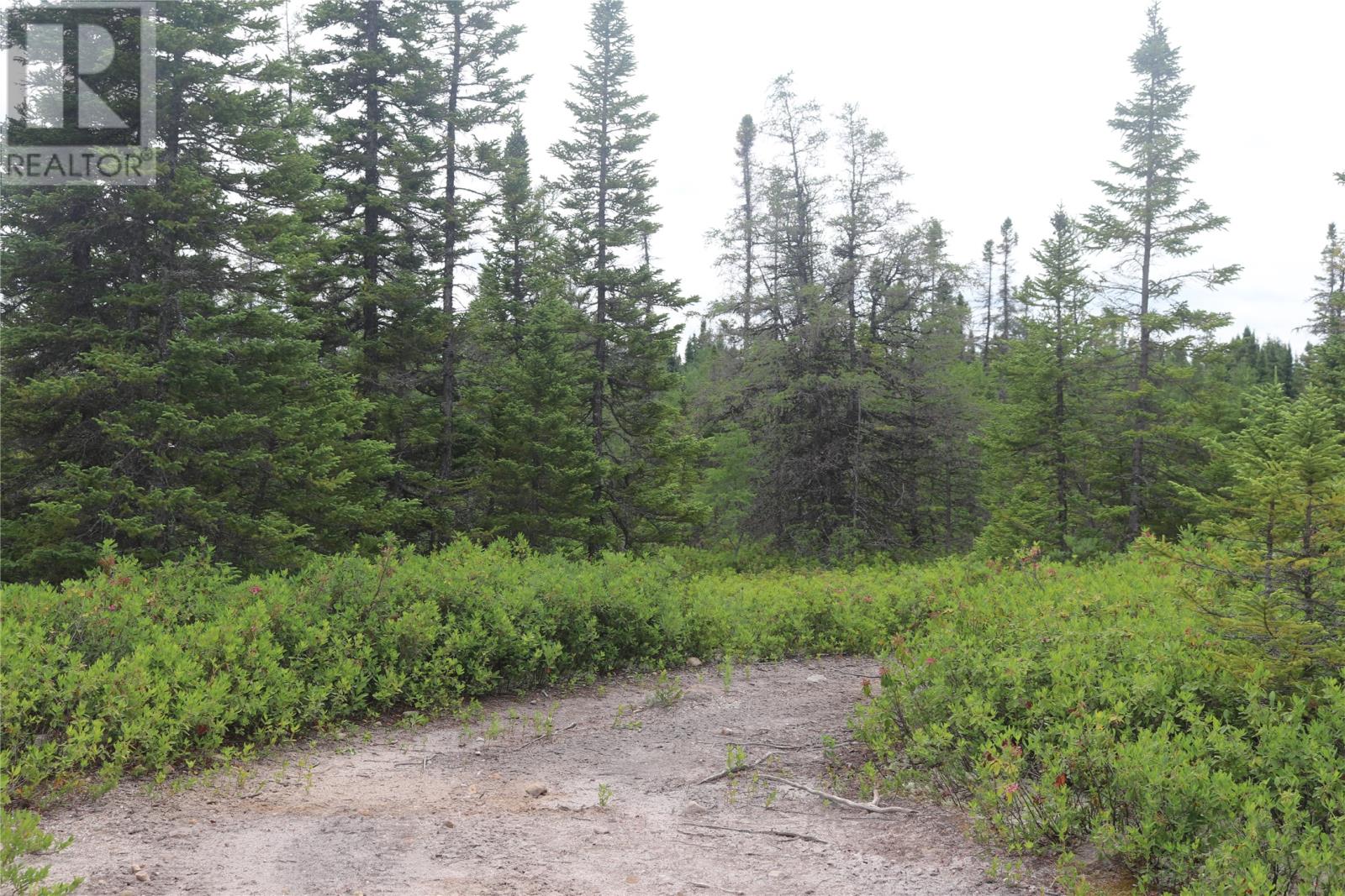 Lot 25-26 Sandy Stream Road, Howley, Newfoundland & Labrador  A0K 3E0 - Photo 19 - 1274894
