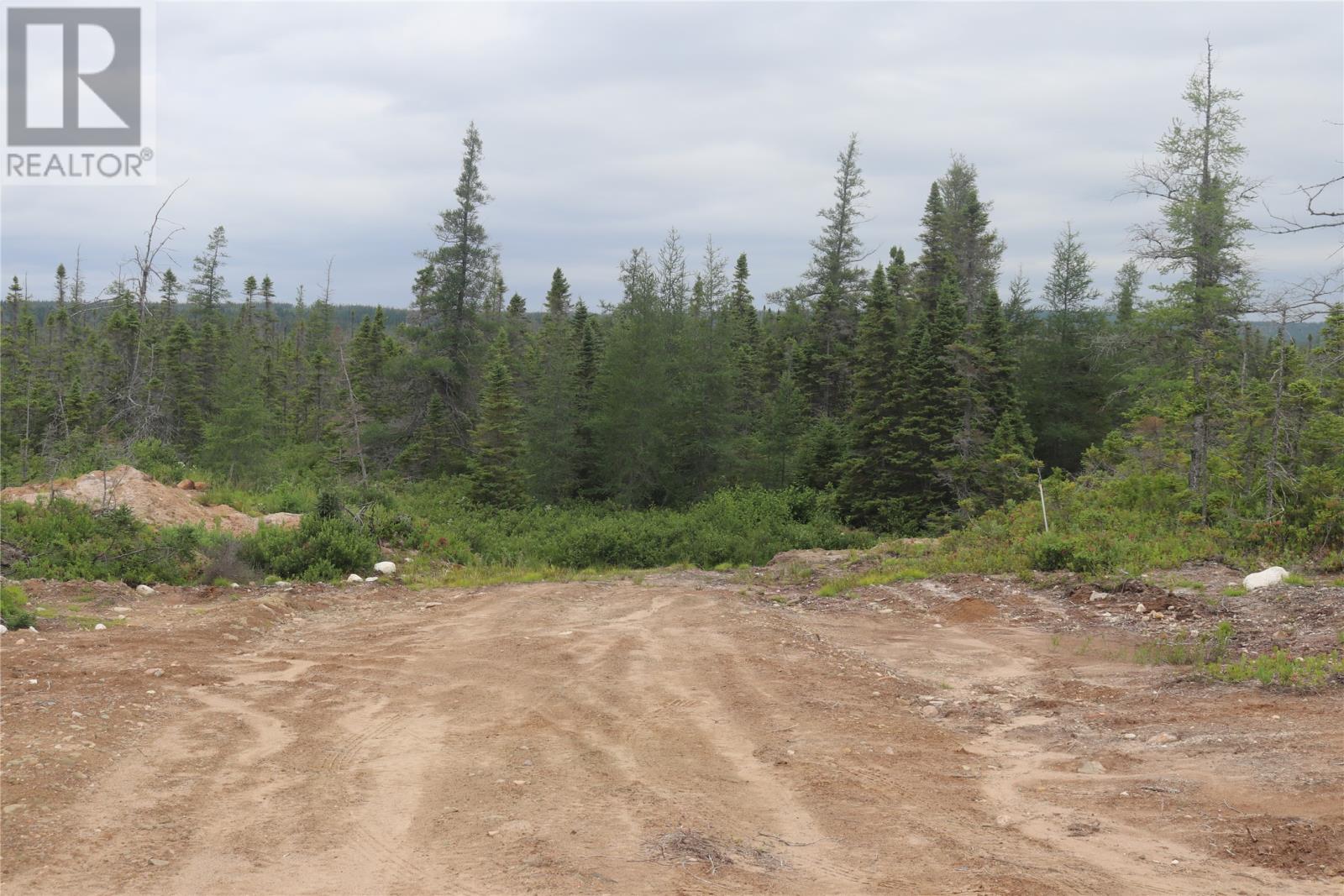 Lot 25-26 Sandy Stream Road, Howley, Newfoundland & Labrador  A0K 3E0 - Photo 8 - 1274894