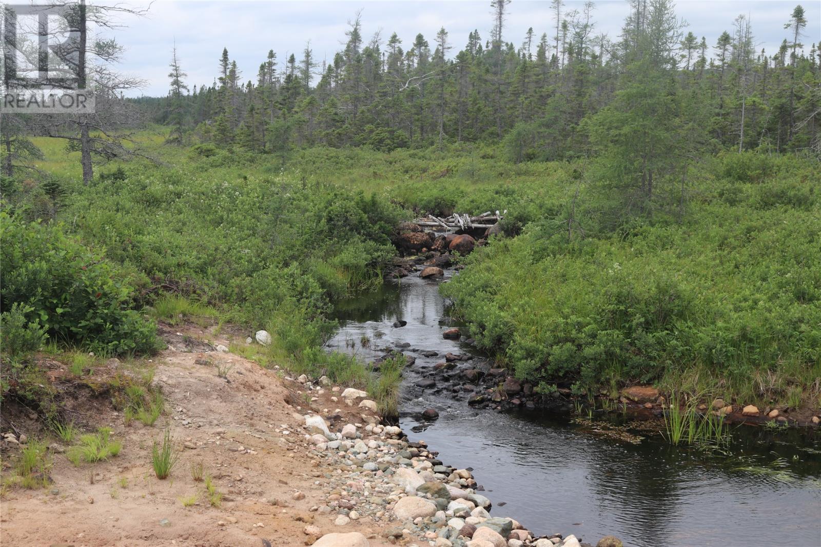 Lot 25-26 Sandy Stream Road, Howley, Newfoundland & Labrador  A0K 3E0 - Photo 9 - 1274894