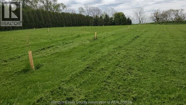 7004 Talbot Trail, Dealtown, Ontario  N0P 1W0 - Photo 4 - 24010645