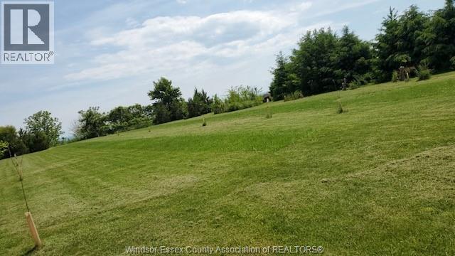 7004 Talbot Trail, Dealtown, Ontario  N0P 1W0 - Photo 3 - 24010645