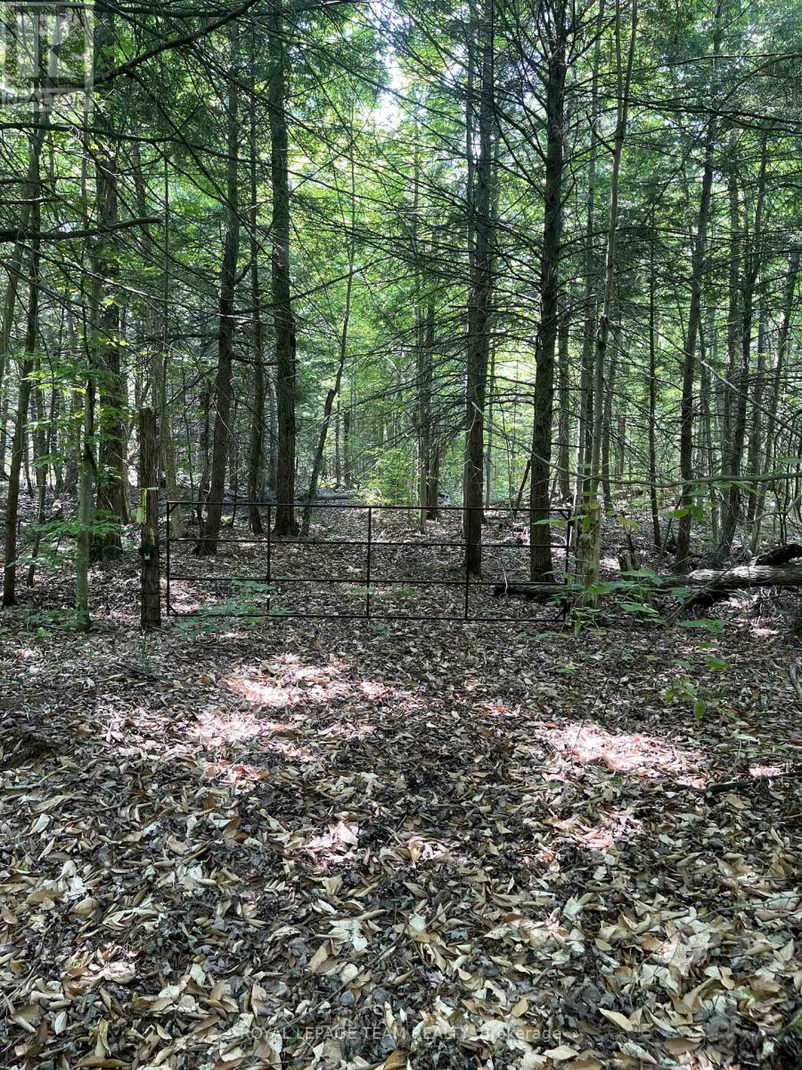 000 Dukelow Road, Edwardsburgh/cardinal, Ontario  K0E 1X0 - Photo 2 - X12373243