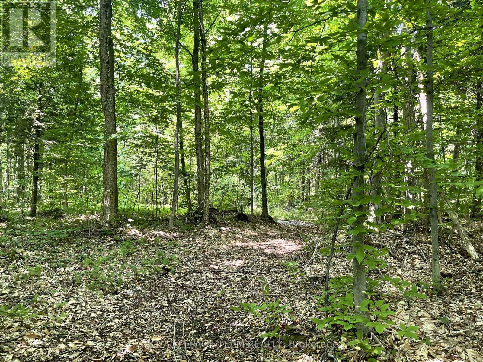 000 Dukelow Road, Edwardsburgh/cardinal, Ontario  K0E 1X0 - Photo 3 - X12373243