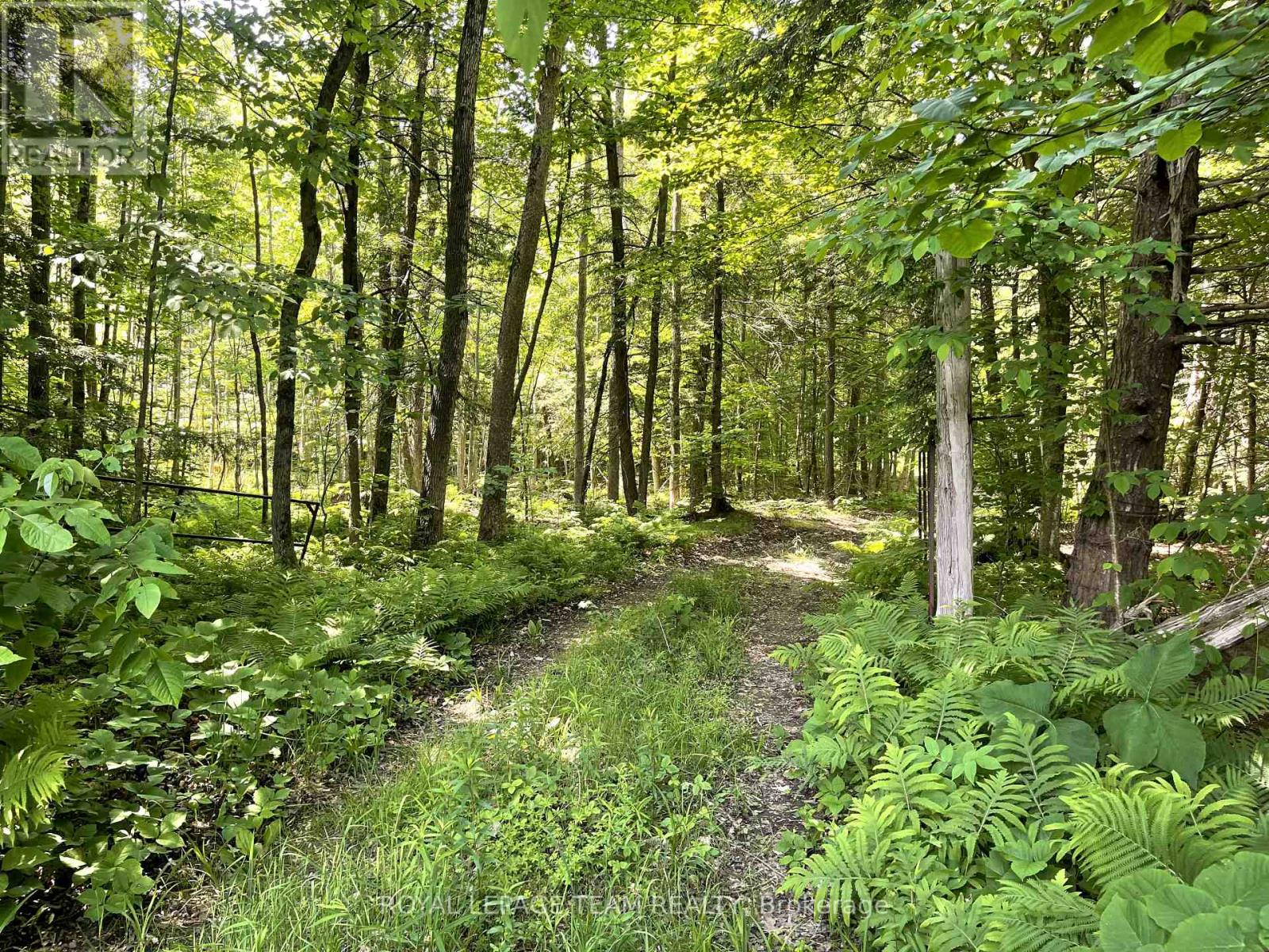 000 Dukelow Road, Edwardsburgh/cardinal, Ontario  K0E 1X0 - Photo 4 - X12373243