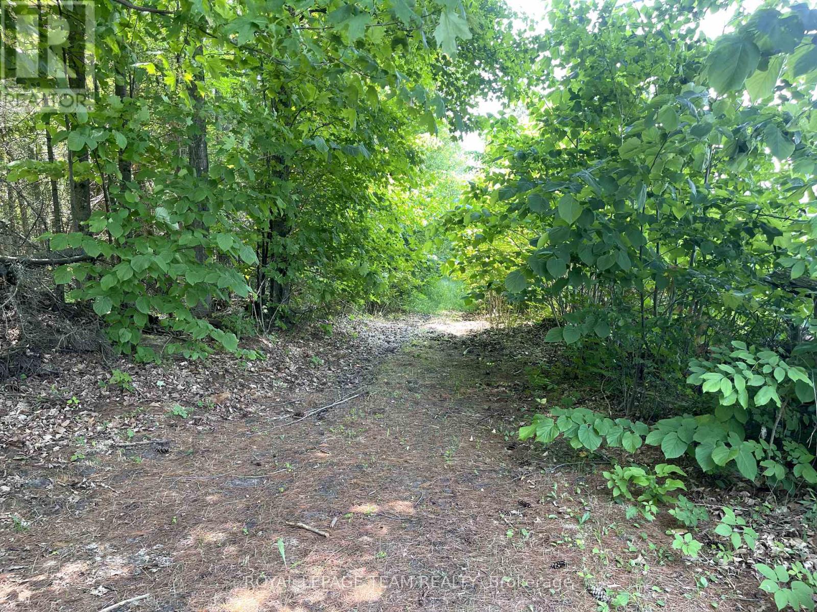 000 Dukelow Road, Edwardsburgh/cardinal, Ontario  K0E 1X0 - Photo 5 - X12373243