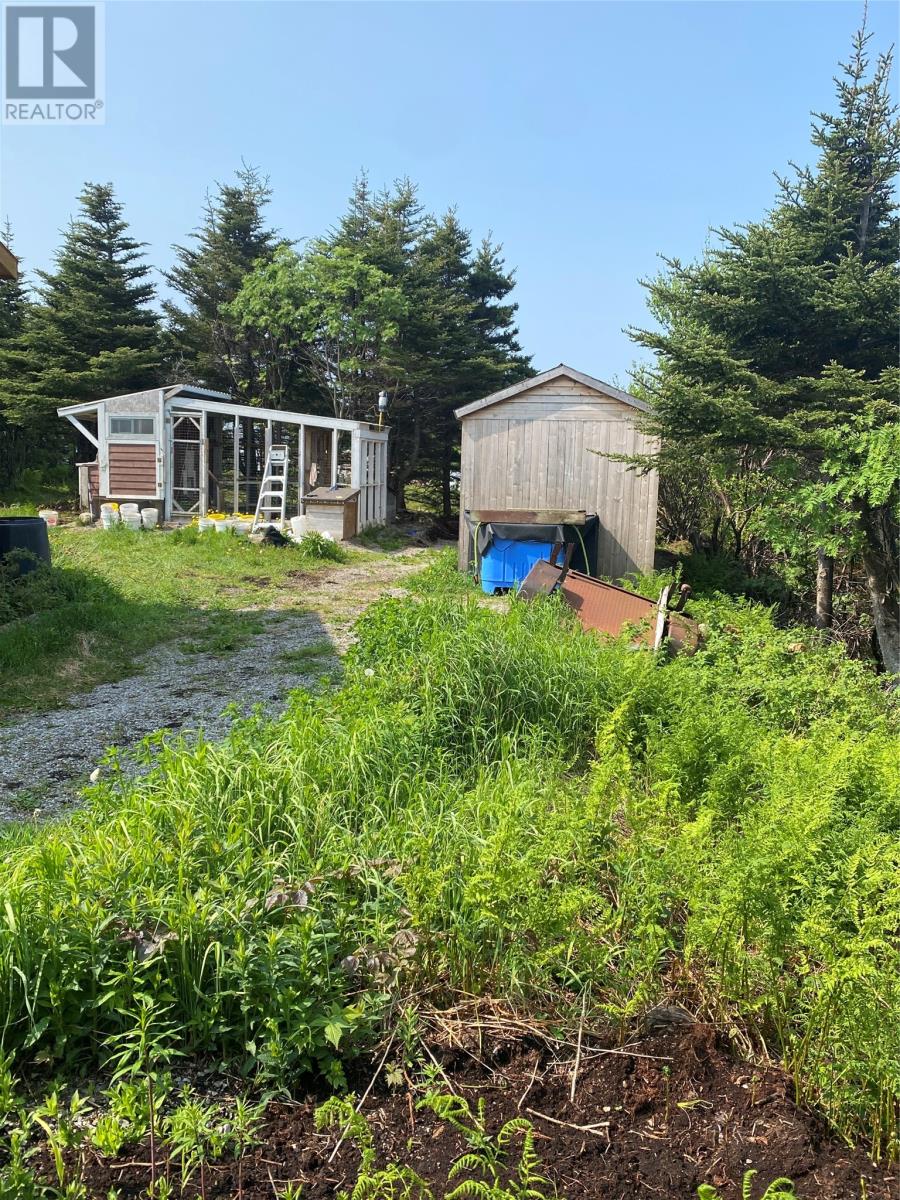 5 Main Street, Portland Creek, Newfoundland & Labrador  A0K 4G0 - Photo 13 - 1280833