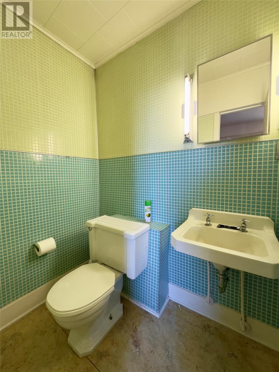 33 Coarse Road, Trepassey, Newfoundland & Labrador  A0A 4B0 - Photo 24 - 1285083