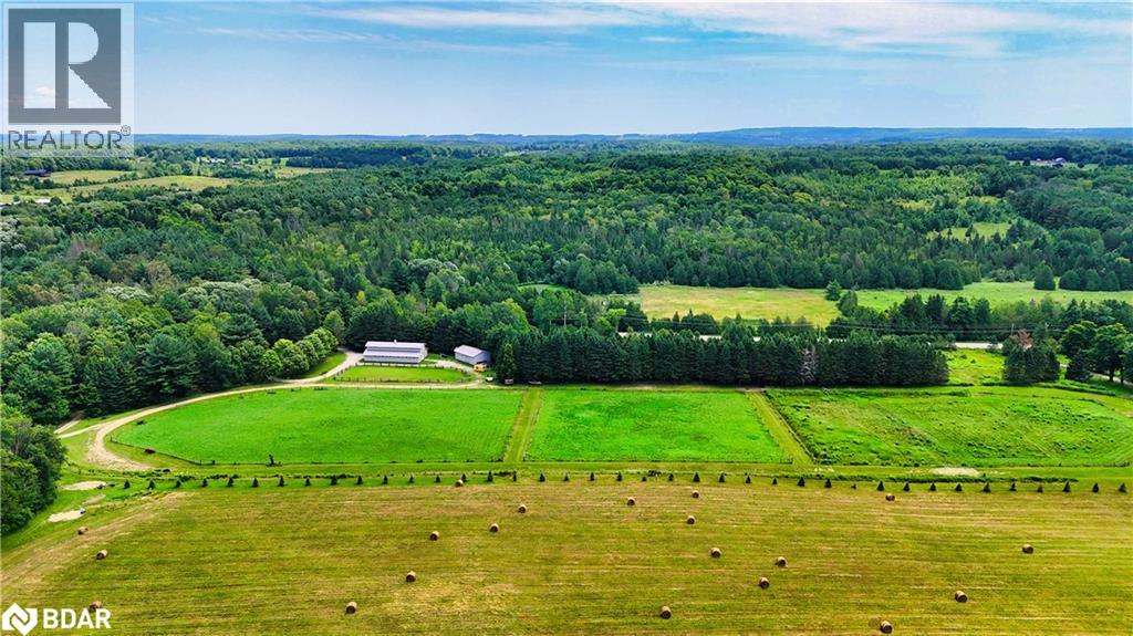 1390 Warminster Sideroad, Oro-Medonte, Ontario  L0K 2G0 - Photo 16 - 40764865