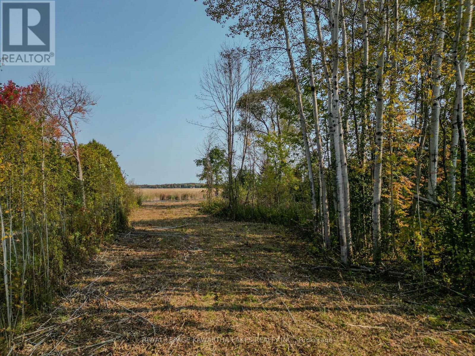 Lt 14 Charlore Park Drive, Kawartha Lakes, Ontario  K0L 2W0 - Photo 6 - X12373557