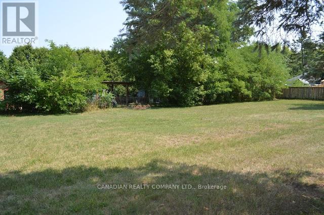 391 Raines Street, Georgina, Ontario  L4P 3C8 - Photo 28 - N12373355
