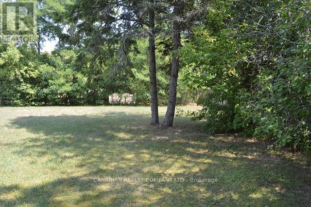 391 Raines Street, Georgina, Ontario  L4P 3C8 - Photo 31 - N12373355