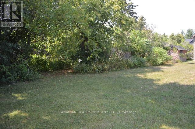 391 Raines Street, Georgina, Ontario  L4P 3C8 - Photo 33 - N12373355